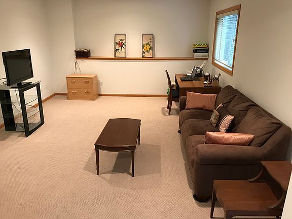 Lower level family room
