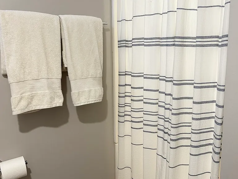 Lower level bathroom with walk-in shower.