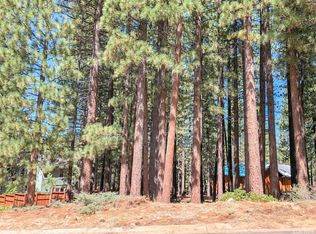 2486 Lupine Trl, South Lake Tahoe, CA