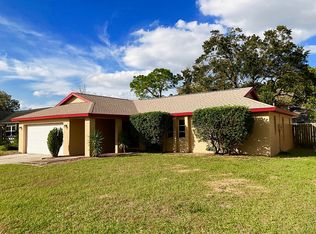 710 Sailfish Dr, Brandon, FL 33511