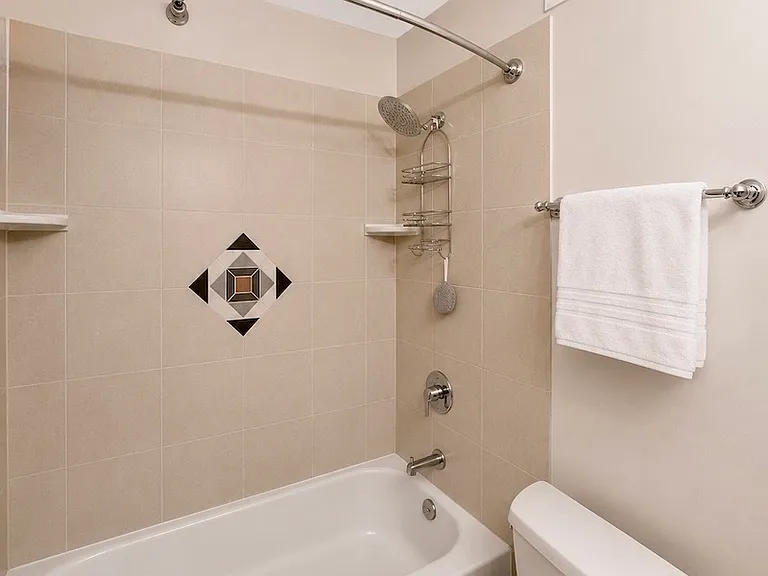 200 N Dearborn St #1205 — Photo 17