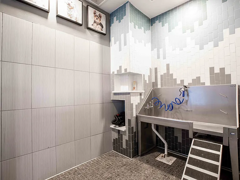 Pet Wash Station