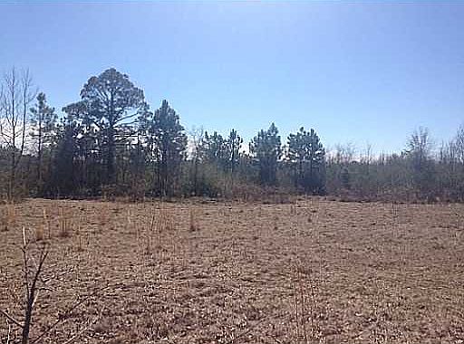 2nd image of 0 Highway 53