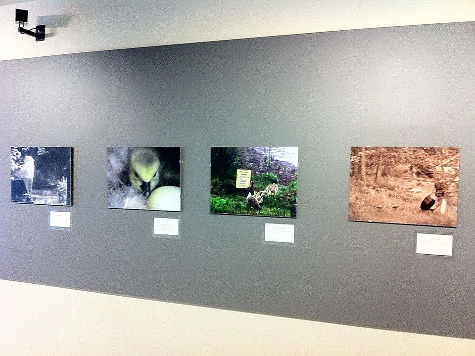 Lobby and art gallery