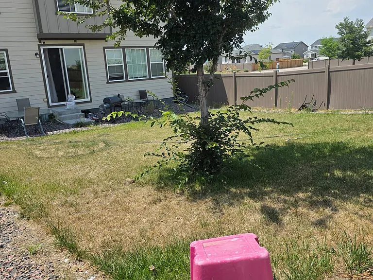 846 White Crow St — Photo 19