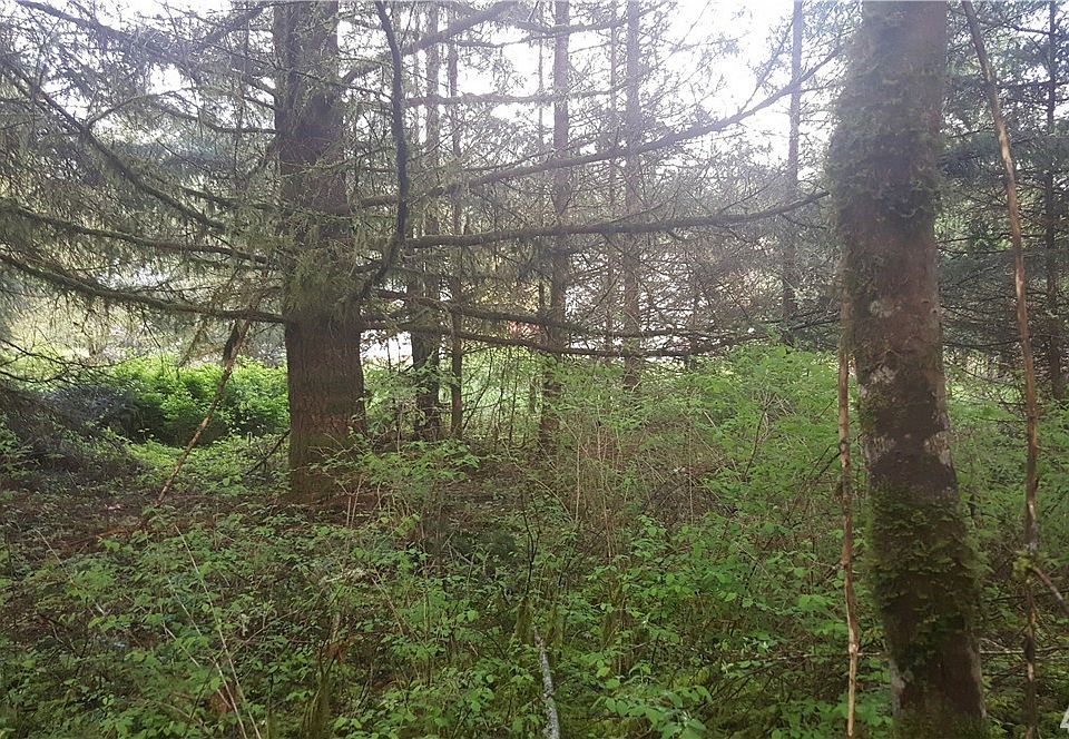 2nd image of 127 Apling Dr