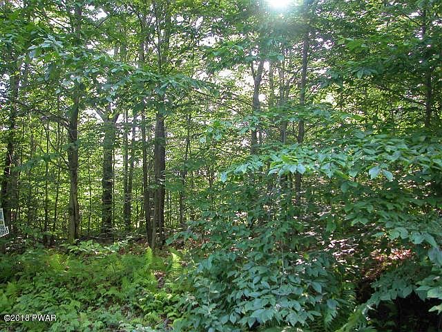 2nd image of Wrighter Lake Rd