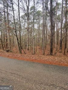 0 Goldeneye Ct, Monticello, GA, 31064