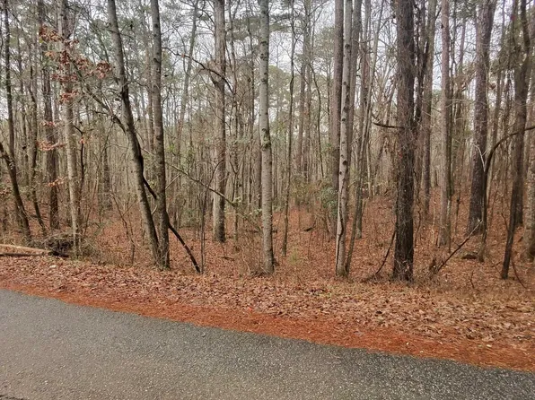 0 Goldeneye Ct, Monticello, GA 31064