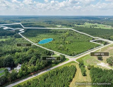 55.44 Ac Hwy #49, Skipwith, VA, 23968