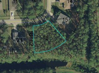 31 Robinson Dr, Palm Coast, FL 32164