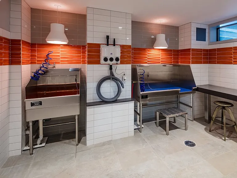 Russell Building Brand New WAG Pet Spa