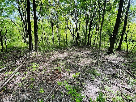 5th image of Bates Rd
