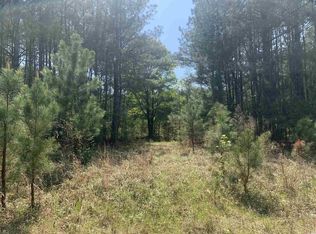 Deer Run Ave, Andrews, SC 29510