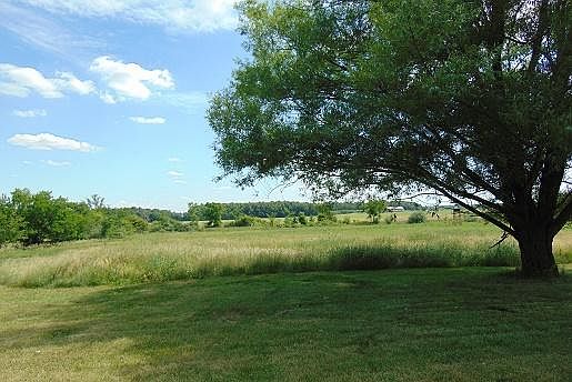 South View from Deck.