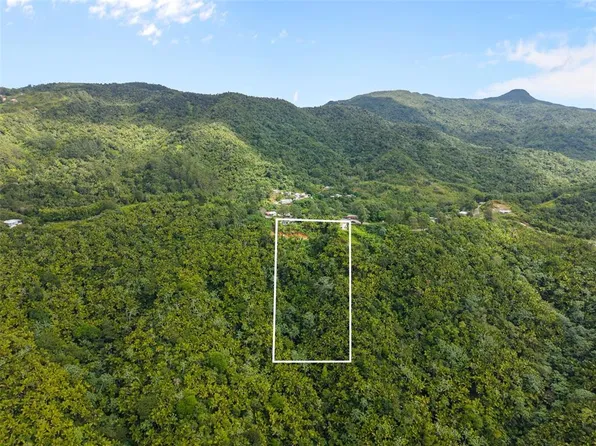 Carr 149 FINCA VILLA AZUL, JUANA DIAZ, PR 00795