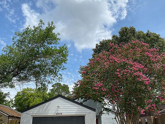 3rd image of 16038 Bear Hill Dr