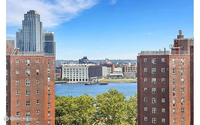 Rented by Douglas Elliman | media 18