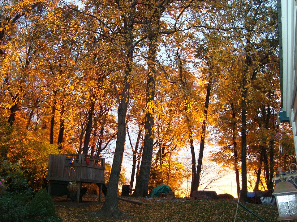 Fall Sunrise
