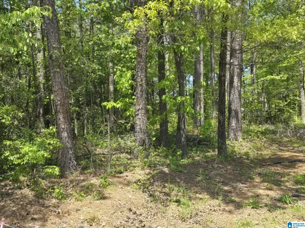 20872 Christina Dr #13, Mc Calla, AL 35111