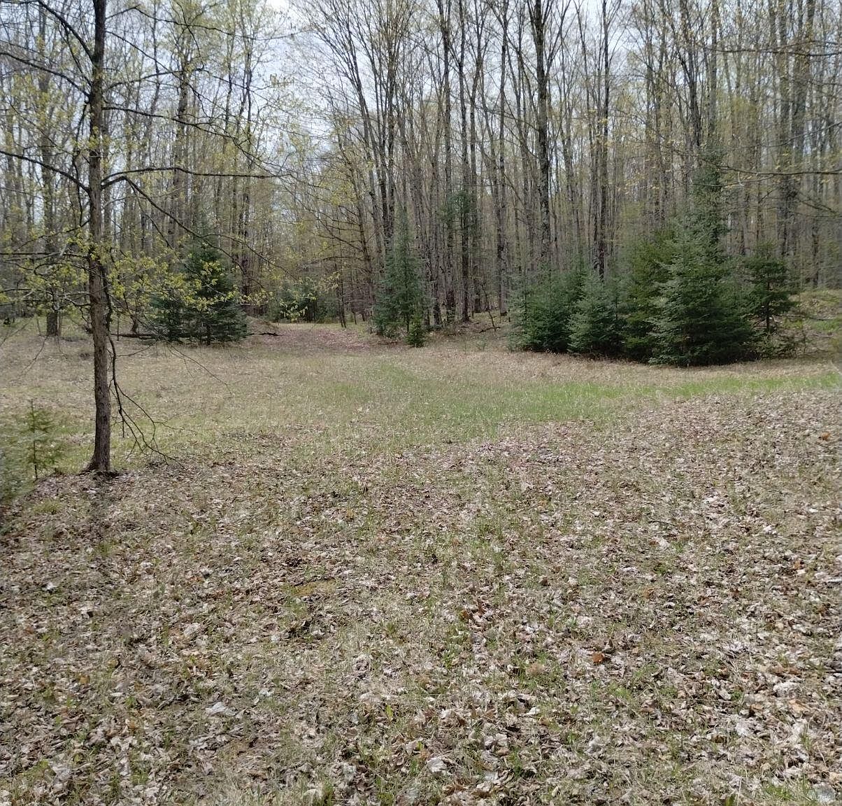 Dump #44, Wilson, MI 49896 | MLS #50141535 | Zillow