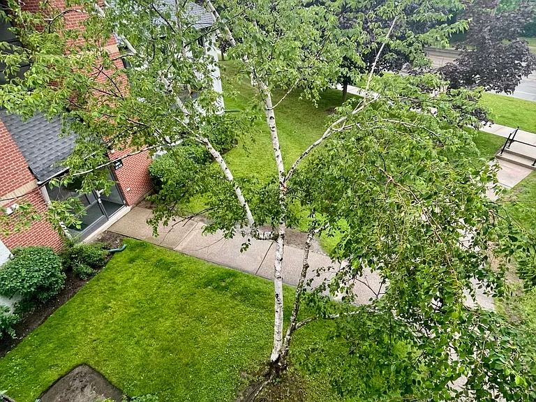1450 Glen Abbey Gate #533 — Photo 25
