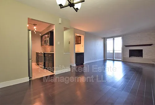 1313 N Williams St #501 Photo 1
