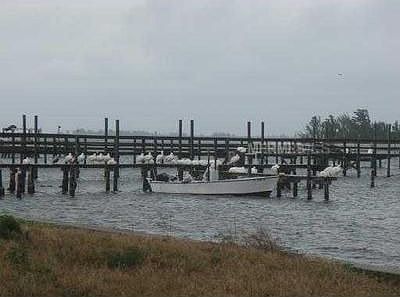 1st image of 13380 N Indian River Dr