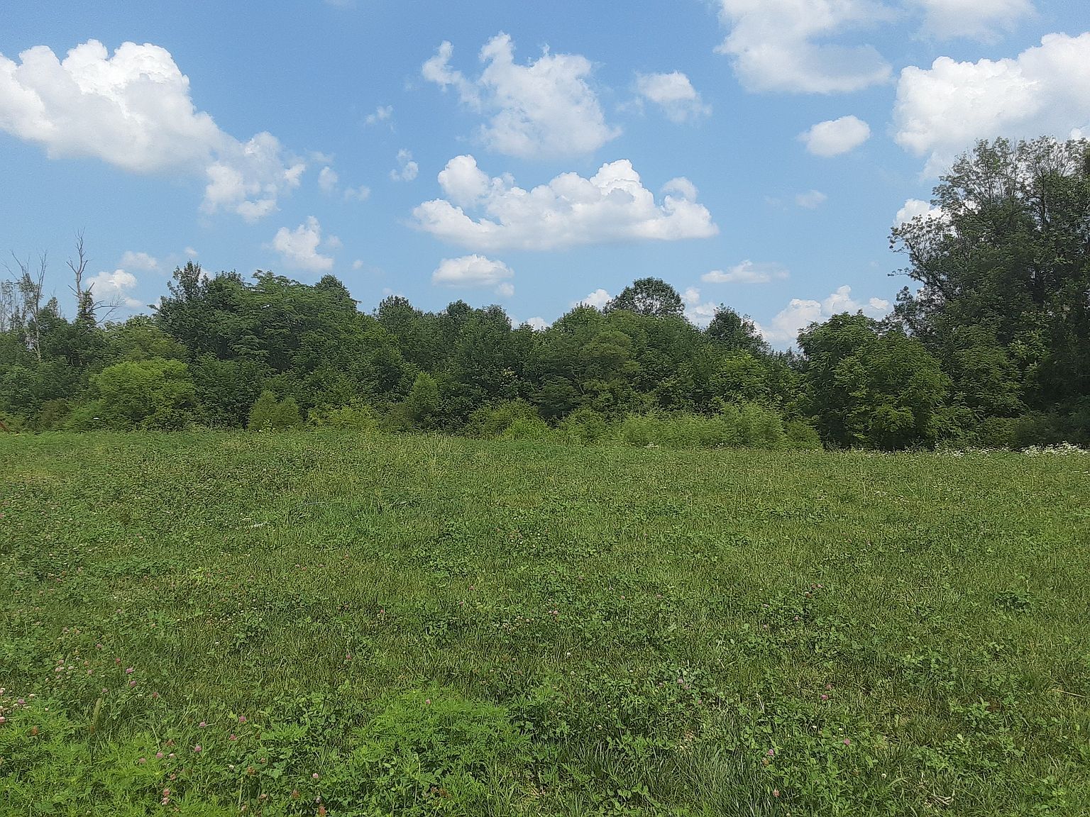 16604 Maines Valley Dr, Noblesville, IN 46062 Zillow