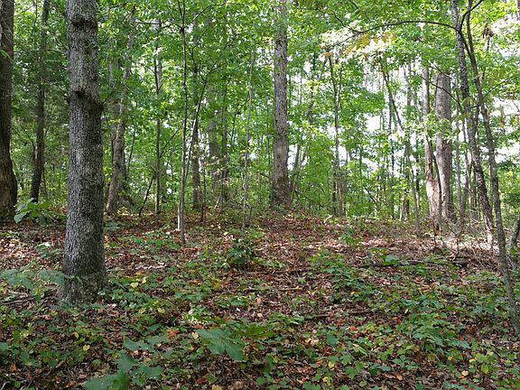 3rd image of Western Hills Ln #45