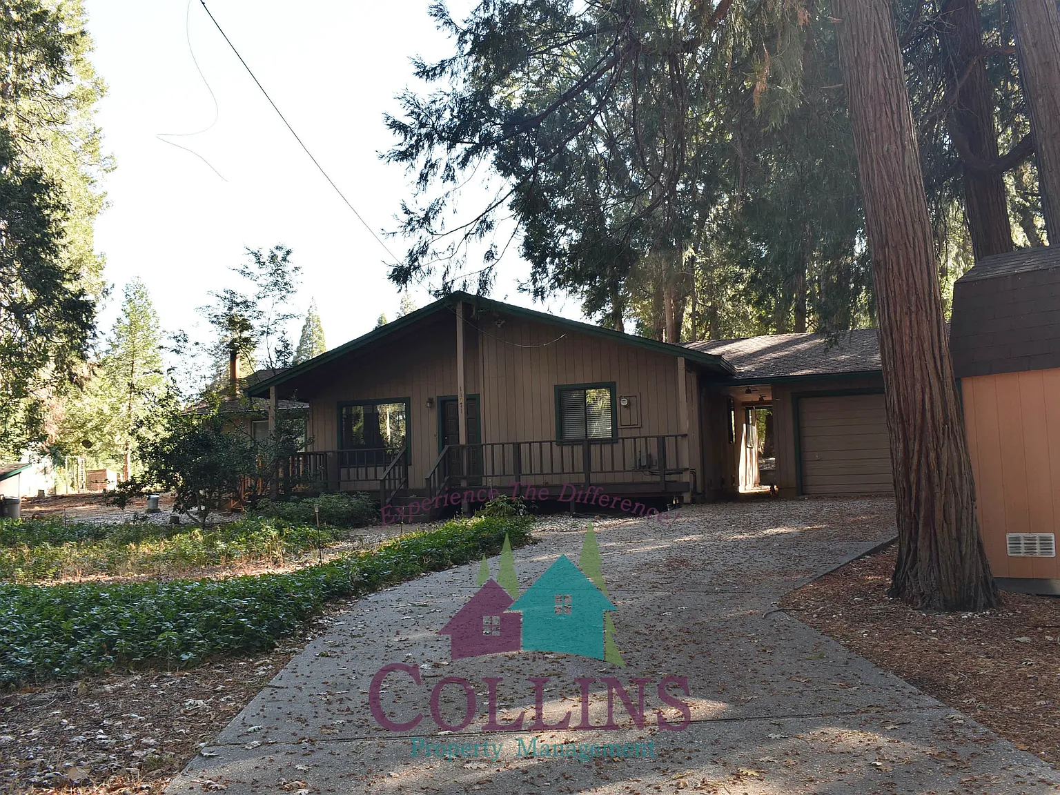 11071 Cedar Ridge Drive - 1 — Photo 3