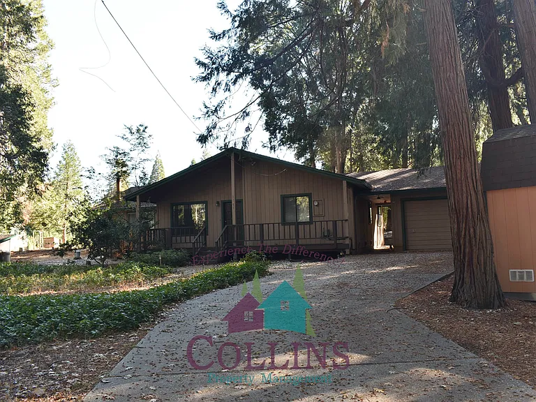 11071 Cedar Ridge Dr — Photo 3