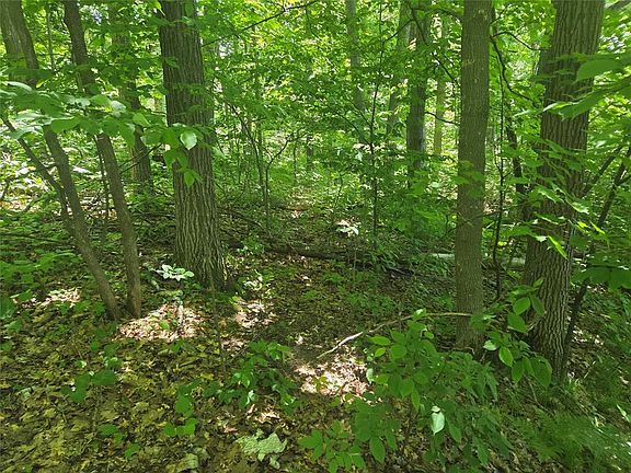 5th image of TBD County Road G