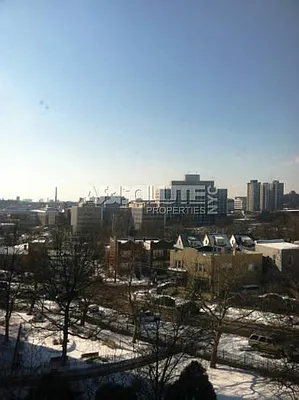 Rented by Absolute Properties of NYC | media 6