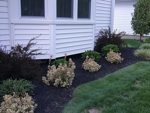 3rd image of 614 Woodbury Dr
