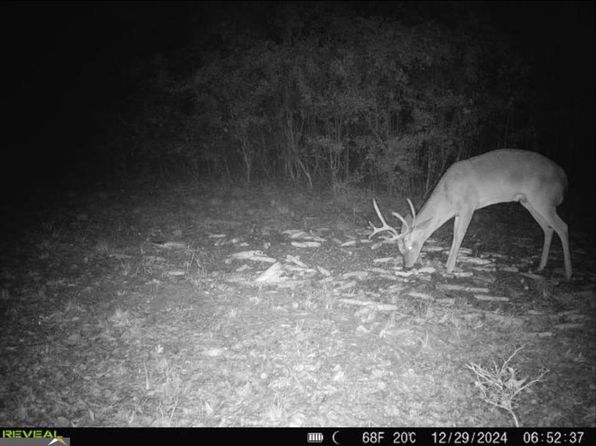 0 Cow Ford Bridge Rd, Kite, GA 31049