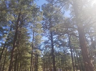 2891 Markham Rd, Overgaard, AZ 85933