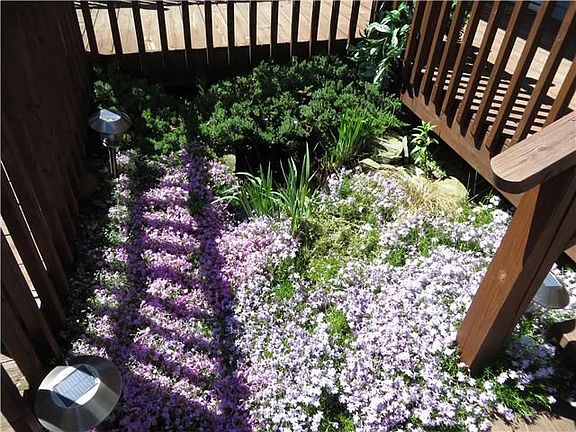 Garden pond with beautiful landscaping