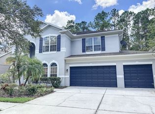 16127 Colchester Palms Dr, Tampa, FL 33647