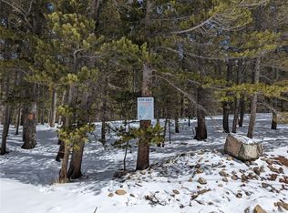 925 Silver Creek Rd, Idaho Springs, CO 80452