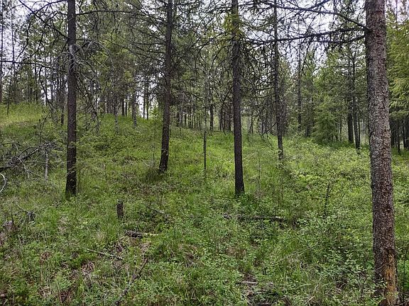 4th image of E Jump Off Joe Rd #125 acres