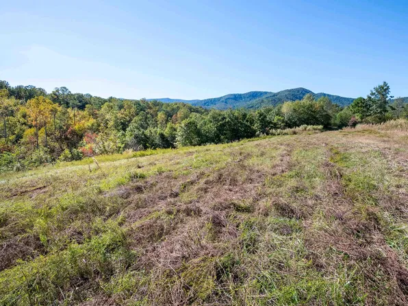 401 York Thicket Rd, Lambsburg, VA 24351