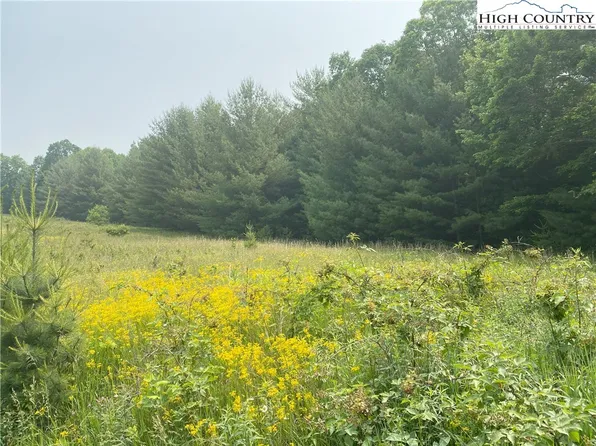 Lot 9 Toms Knob Road, Sparta, NC 28675