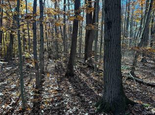 0 Mack School Rd, Arkport, NY 14807