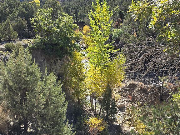 3rd image of 1 Willow Creek Rd