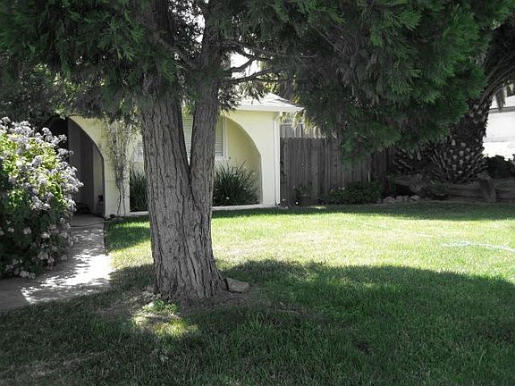 Front Yard Picture #3