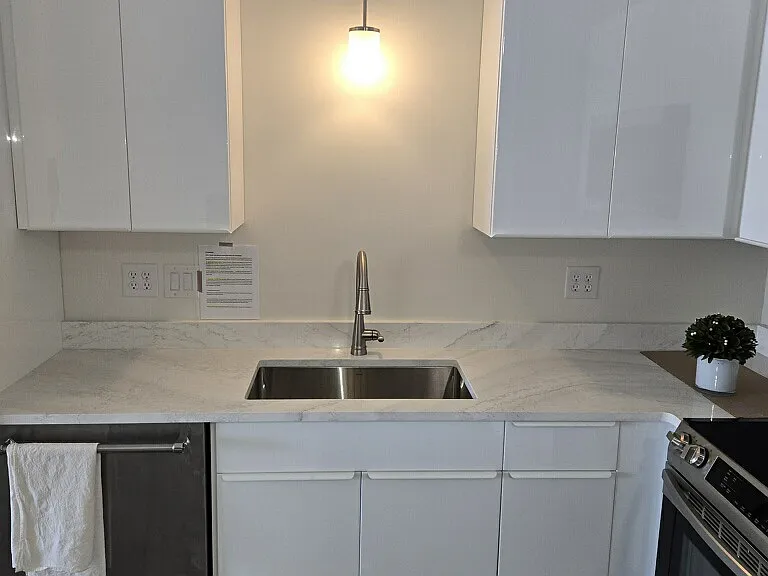 new kitchen renovation just compelted.