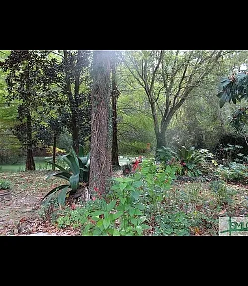 497 Rice Gate Dr — Photo 9