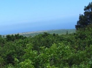 LOT 47 Lot 47, Naalehu, HI 96772