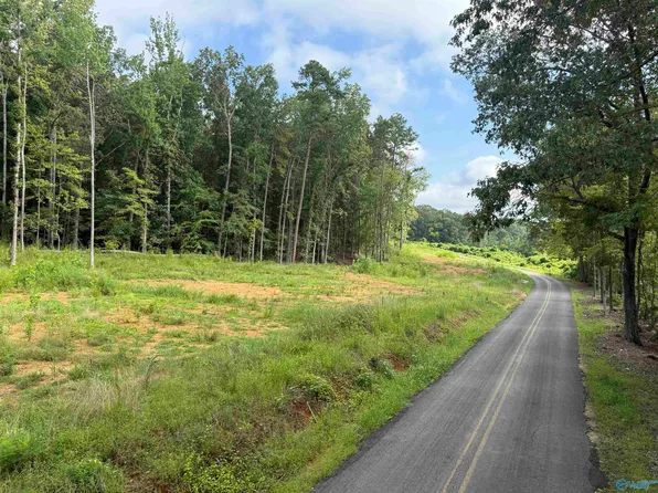 LOT 6 County Road 114, Scottsboro, AL 35769